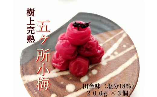 ~  v600g i200g×3j   ~ ߂ڂ  ߊ ~ ~ ume Y  n Ƃ낯  18%  ͂̂  ͂    Ђ Ђ 