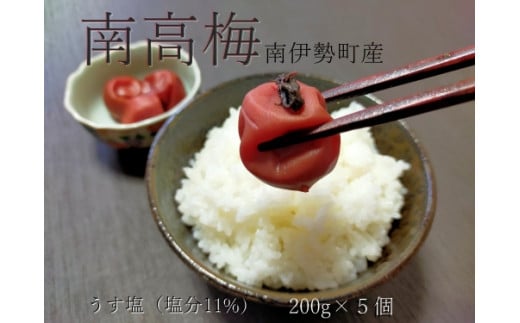 伊勢志摩産 梅干 南高梅 うす塩 200g 5個 計 1キロ 無添加 大粒 塩分 11% ないぜ しぜん村 ふるさと 納税 梅干し 1kg うめ 梅 ume 肉厚 手作り  産地直送 三重三重県南伊勢町14000鍋セット・総菜・加