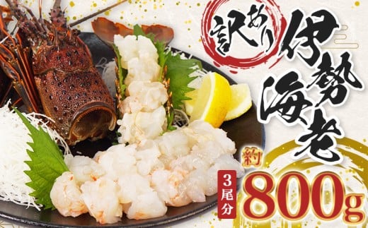 (冷凍) 訳あり 伊勢海老 800g むき身 処理済み イセエビ 海老 えび 伊勢 エビ 伊勢エビ 海宝水産 訳あり品 訳アリ 贅沢 高級 簡単調理 刺し身 刺身 海鮮 ギフト 国産 三重県 南伊勢町三重県
