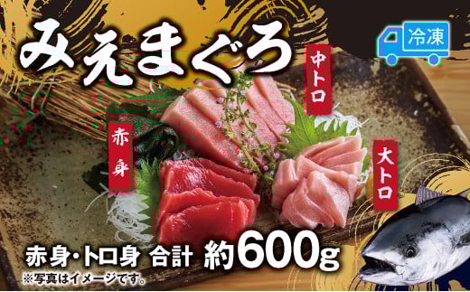 マグロ 詰め合わせ 600g 本まぐろ 本鮪 刺身 刺し身 マグロ丼 海鮮丼 大トロ 中トロ トロ 赤身 国産 養殖 みえまぐろ 三重 南伊勢町 伊勢 志摩三重県南伊勢町27000魚介・海産物鮮魚