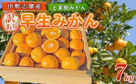 【2025年11月下旬〜発送】訳あり 早生みかん 7kg / みかん ミカン 蜜柑 フルーツ 果物 みかん くだもの 柑橘 旬 果実 甘味 酸味 mikan 産地直送 農家直送 国産 先行予約 ご家庭用 ミカン ご当地 期