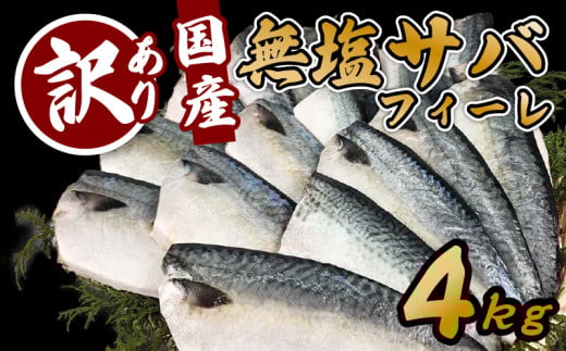 【12月発送】訳あり サバ 鯖 4kg バラ凍結 無塩 外湾漁業協同組合 国産サバ 国産鯖 無塩鯖 無塩サバ さば 簡単 保存 調理 焼き 簡易包装 わけあり 訳アリ 訳あり品 魚 魚介 海鮮 BBQ 加工品 国産