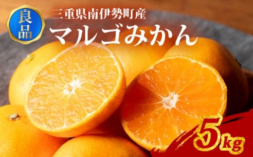 訳あり みかん 温州みかん 約5kg 良品 家庭用 期間限定 柑橘 蜜柑 mikan フルーツ 果物 くだもの 傷 ふるさと納税訳あり 国産 ブランド 三重県 伊勢 志摩 南伊勢町 マルゴみかん JA伊勢 10000円 1