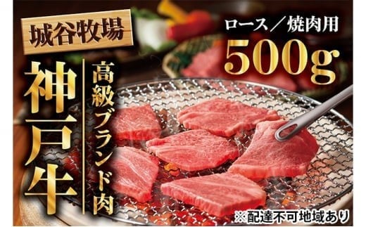 Jq̐_ˋ [X ē 500g Y a _˃r[t o[xL[ BBQ ⓀɌ蒬55000