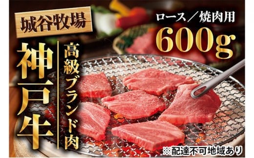 Jq̐_ˋ [X ē 600g Y a _˃r[t o[xL[ BBQ ⓀɌ蒬72000