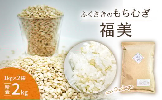 ふくさきのもちむぎ「福美」精麦1kg×2袋 2kg eco Package エコパッケージ兵庫県福崎町9000米・パン玄米・雑穀米・もち米・餅