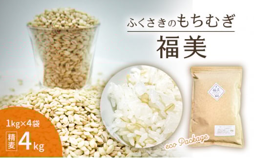 ӂ̂ނuv1kg×4 4kg eco Package GRpbP[WɌ蒬15000āEpāEGāEāE