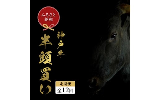 【和牛セレブ】 神戸牛半頭分のセレブ体験(12分割納品コース) 牛肉 肉 神戸ビーフ 神戸肉 定期便 ステーキ すき焼き しゃぶしゃぶ 焼肉兵庫県福崎町14000000肉牛肉