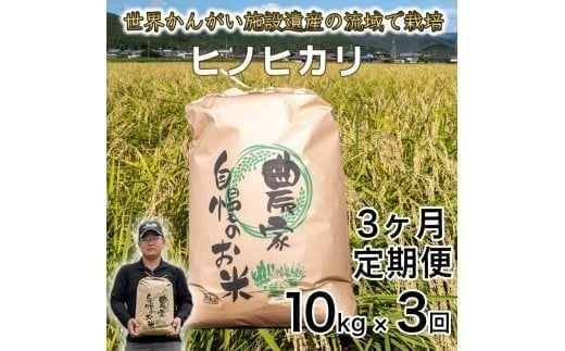 【定期便10kg×3か月】令和7年度産 ヒノヒカリ 精米 八千種米 お米 10kg 白米 新米 米 ごはん 兵庫 兵庫県産 世界かんがい施設遺産登録『西光寺野疏水路』 お米兵庫県福崎町75000米・パン白米