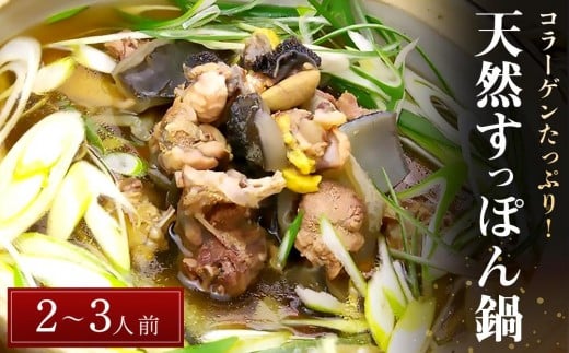 VRۂ(2`3lO) y  }O  B ԗi 񂹃O  O Hi  VR ۂ  ۂR[Q ①  В}Ot@[}[