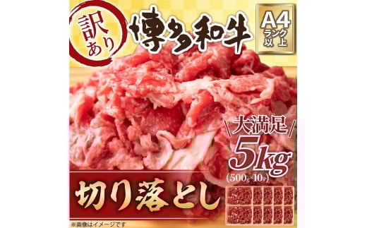 訳アリ!博多和牛 切り落とし 5kg ( 500g×10パック )【博多和牛 和牛 牛 肉 お肉 切り落とし 訳あり 贅沢 人気 食品 オススメ  福岡県 筑前町 AR028】福岡県筑前町64000肉牛肉