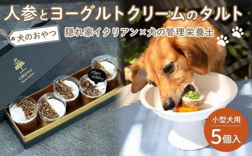 ペットフード(犬のおやつ) 人参とヨーグルトクリームのタルト 5個入り【ペットフード ペット 動物 犬 餌 エサ 小型犬 愛犬 愛犬家 愛犬用 スイーツ タルト おやつ 犬用 ペット用 ご褒美