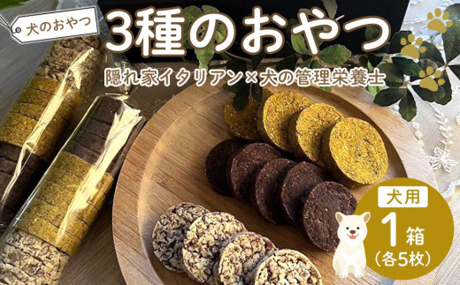 DOGDAY@3̂@ybgt[hyybgt[h ybg   a GT ^   p   N ^pN J[ NbL[ Hה  p ybgp