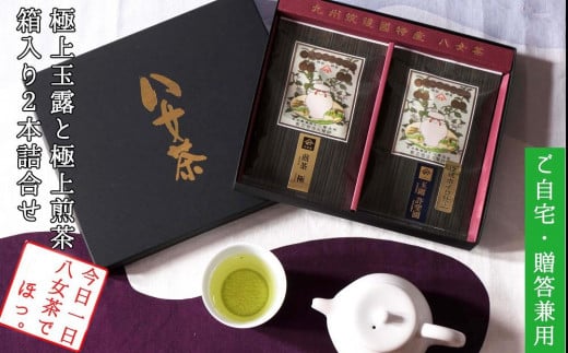 許斐本家14代目おススメの極上玉露と極上煎茶の化粧箱入り2本詰合せ【八女茶老舗 創業300年余】(ギフト対応)【銘茶 福岡銘茶 お取り寄せ 茶 お茶 おちゃ 八女茶 人気 おすすめ ソフト