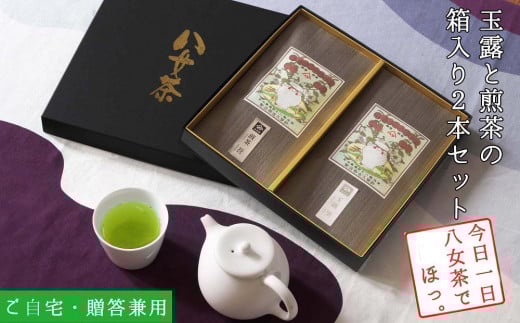 許斐本家14代目おススメの玉露と特撰煎茶の化粧箱入り2本詰合せ【八女茶老舗 創業300年余】(ギフト対応)【銘茶 福岡銘茶 お取り寄せ 茶 お茶 おちゃ 八女茶 人気 おすすめ ソフトドリ