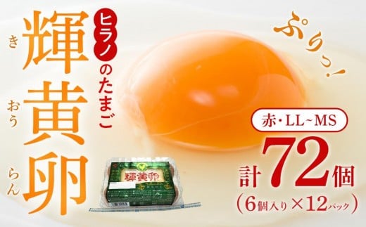 ヒラノのたまご 輝黄卵(きおうらん)72個(6個入り×12パック)【卵 たまご タマゴ  国産 新鮮 直送 朝ごはん 卵かけごはん AJ006】福岡県筑前町8500卵・乳製品卵(鶏、烏骨鶏等)