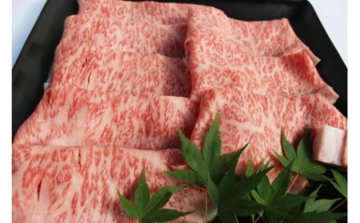 博多和牛 特選スライス すき焼き用(450g) A4等級以上【博多和牛 牛肉 肉 国産 にく スライス 特選 すきやき すき焼き 牛肉 肉 リピート 人気 和牛 国産 A4以上 AP003】福岡県筑前町20000肉牛肉