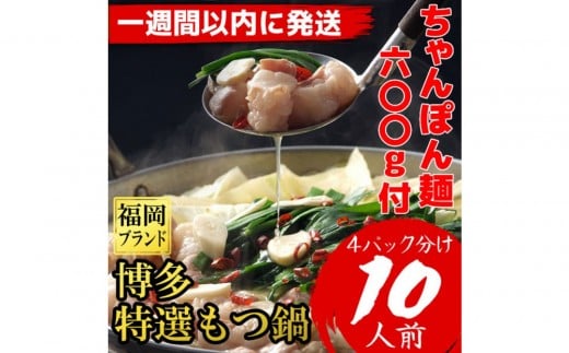「10人前!」博多特選もつ鍋(プリプリの国産牛小腸のみ使用・醤油味)福岡ブランド【1週間以内に発送!】福岡県筑前町17000肉牛肉
