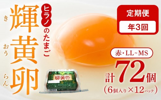 【定期便3回】輝黄卵(きおうらん)72個(6個入り×12パック)【卵 たまご タマゴ  国産 新鮮 直送 朝ごはん 卵かけごはん AJ010】福岡県筑前町29000卵・乳製品卵(鶏、烏骨鶏等)