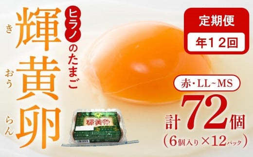 【定期便12回】輝黄卵(きおうらん)72個(6個入り×12パック)【卵 たまご タマゴ  国産 新鮮 直送 朝ごはん 卵かけごはん AJ012】福岡県筑前町113000卵・乳製品卵(鶏、烏骨鶏等)