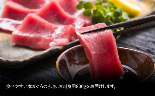 {}O ܂남hgp Ԑg5lO(800g)  CN hg hg 荇킹 Ⓚ ̎hg 啪Y BY Ëvs lΉ啪Ëvs32000ECYN