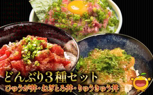 どんぶり3種セット ぶりのりゅうきゅう丼・まぐろの漬け丼(ひゅうが丼)・まぐろのたたき(ねぎとろ)セット ねぎとろ 鮪丼 まぐろ 大分県産 九州産 津久見市 熨斗対応大分県津久見市130