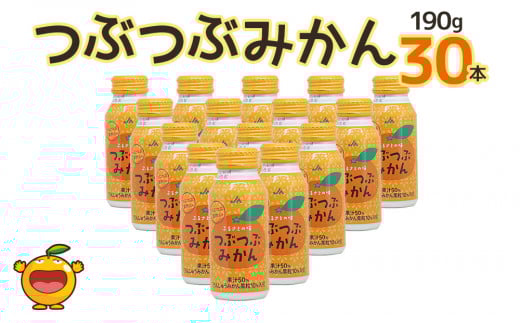 つぶつぶみかん 190g×30本 フルーツジュース ミカンジュース オレンジジュース 大分県産 九州産 津久見市 国産大分県津久見市12000お茶・飲料果汁・野菜飲料