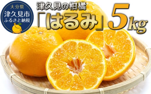 【先行予約】津久見のみかん はるみ 5kg ミカン 蜜柑 オレンジ 果実 旬のフルーツ 大分県産 九州産 津久見市 国産大分県津久見市13000果物・フルーツみかん・柑橘類