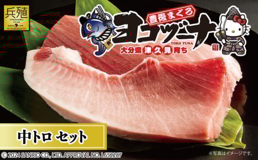 豊後まぐろ ヨコヅーナ刺身用・中トロ 400g  本鮪 本マグロ 海鮮丼 刺し身 盛り合わせ 冷凍 魚の刺身 大分県産 九州産 津久見市大分県津久見市25000魚介・海産物鮮魚