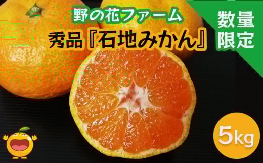 【先行予約・数量限定】野の花ファーム 秀品 石地みかん 5kg  ミカン オレンジ 蜜柑 フルーツ 旬 果物 くだもの 大分県産 九州産 津久見市 国産大分県津久見市13000果物・フルーツみかん・柑