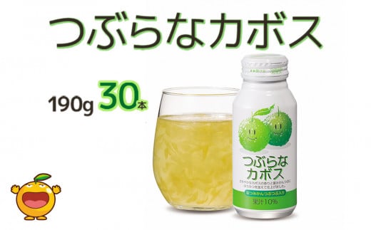 ԂȃJ{X Ȃ݂ʗ 190g×30{ ڂW[X hN  \tghN 啪Y BY Ëvs Y啪Ëvs12000Eʏ`E؈