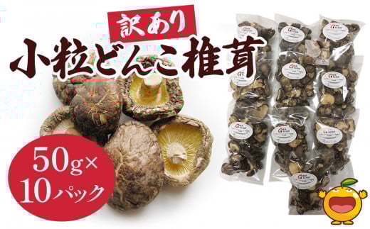 ő Y 󂠂 ǂ 50g×10pbN   ő ő  啪 Ëvs BYؑ啪Ëvs20000؁Ê̂
