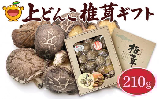 乾燥椎茸 上どんこ椎茸ギフト 210g 乾燥椎茸 乾燥 しいたけ 干し椎茸 乾し椎茸 乾燥野菜 大分県 津久見市 九州産野菜 熨斗対応大分県津久見市15000野菜・きのこきのこ