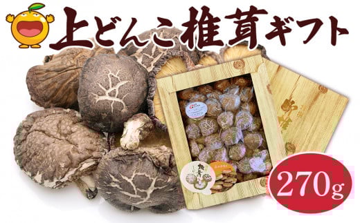 ő ǂ񂱒őMtg 270g ő   ő ő  啪 Ëvs BY lΉ啪Ëvs19000؁Ê̂
