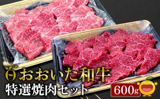 おおいた和牛 特選焼肉セット 600g(赤身焼肉300g  カルビ300g)牛肉 和牛 ブランド牛 黒毛和牛 赤身肉 カルビ 焼き肉 焼肉 バーベキュー 大分県産 九州産 津久見市 熨斗対応大分県津久見市22000肉