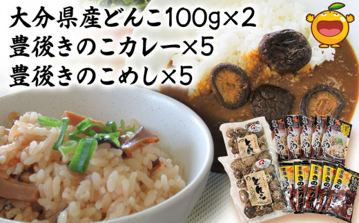 大分県産どんこ椎茸100g×2・豊後きのこカレー×5・豊後きのこめし×5 詰合せ 干し椎茸 しいたけ 乾燥しいたけ 原木 レトルトカレー 混ぜご飯 炊き込みご飯 保存食 常温保存 非常食 ご当地カ