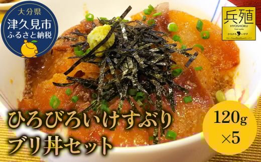 ひろびろいけすぶり ブリ丼セット 120g×5  ぶり 鰤 刺し身 刺身 冷凍 新鮮 漬け丼 大分県産 九州産 津久見市 国産大分県津久見市13000魚介・海産物鮮魚