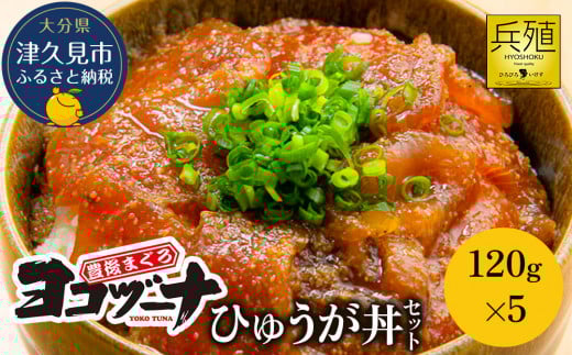 L܂ Rd[i ЂイZbg 120g×5  { {}O CN hg 荇킹 Ⓚ VN Ђ 啪Y BY Ëvs Y啪Ëvs18000ECYN