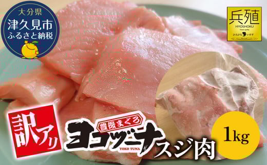 豊後まぐろ ヨコヅーナ 訳あり スジ肉 1kg  本鮪 本マグロ すじ肉 希少部位 ツナ ステーキ 天ぷら BBQ 塩焼き 煮つけ 冷凍 漬け丼 大分県産 九州産 津久見市 国産大分県津久見市8000魚介・海産