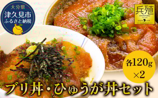 ブリ丼・ひゅうが丼セット 各120g×2  ひろびろいけすぶり 豊後まぐろ ヨコヅーナ  本鮪 本マグロ 海鮮丼 刺し身 盛り合わせ 冷凍 新鮮 漬け丼 大分県産 九州産 津久見市 国産大分県津久見市