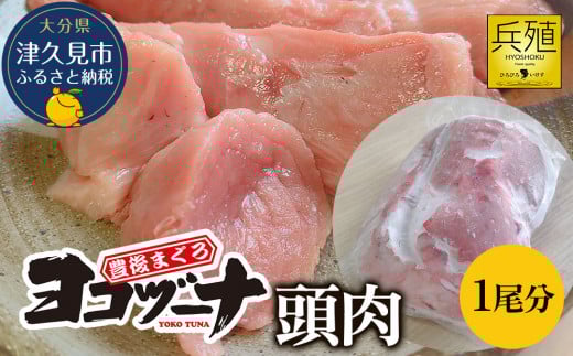 豊後まぐろ ヨコヅーナ 頭肉 1尾分 (4切)  本鮪 本マグロ すじ肉 希少部位 ツナ ステーキ 天ぷら BBQ 塩焼き 煮つけ 冷凍 漬け丼 大分県産 九州産 津久見市 国産大分県津久見市9000魚介・海産