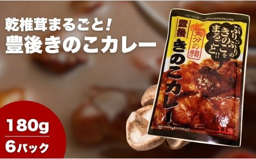 豊後きのこカレー×6大分県津久見市10000鍋セット・総菜・加工食品総菜