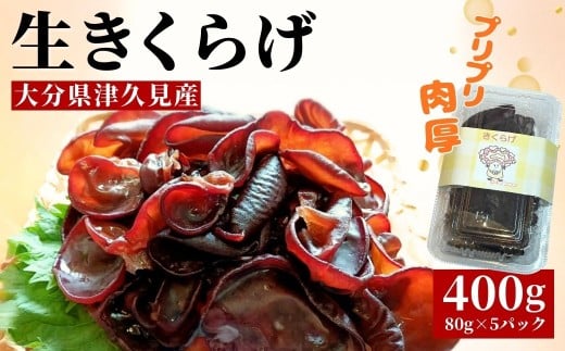 ËvY̓炰@80g×5pbNi400gj |@Ëvs@@؎@LNQ@Y@炰@LNQ@؎@{Y@@LNQ  炰@Y@̂@Y啪