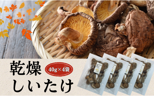 大分県産 しいたけ 津久見で育てた肉厚乾燥しいたけ 40g×4袋 | 津久見市 干し椎茸 菌床しいたけ きのこ 国産 産地直送大分県津久見市13000調味料・油だし