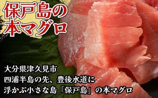 まぐろ中トロ切落し 1パック(100g) | 津久見市 本マグロ 本鮪 中トロ トロ 刺身 大分県 国産  株式会社カスガ水産大分県津久見市8000魚介・海産物鮮魚