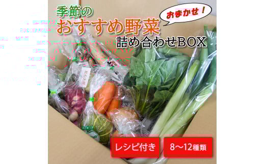 季節のおすすめ野菜おまかせ詰め合わせBOX 8種〜12種類 通常サイズ 野菜セット 15000円【16101】宮城県丸森町15000野菜・きのこその他 野菜