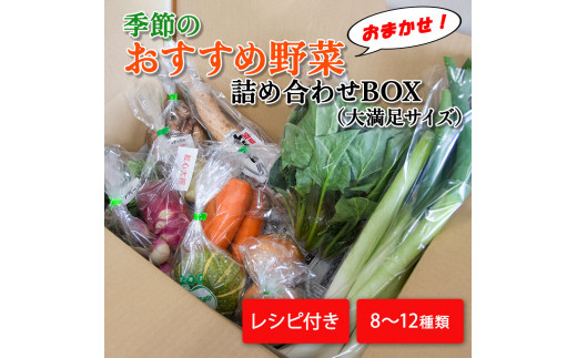 G߂̂ߖ؂܂lߍ킹BOX 8`12 喞TCY ؃Zbgy16102z{錧ېX21000؁Ê̑ 