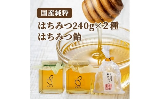 耕野のはちみつ 240g×2本セット 栃のはちみつ飴付き|耕野のはちみつ はちみつ ハチミツ とち 里山の木々 国産 240g 2本 食べ比べ2種 食べ比べ セット はちみつ飴 飴 あめ アメ ふるさと納税