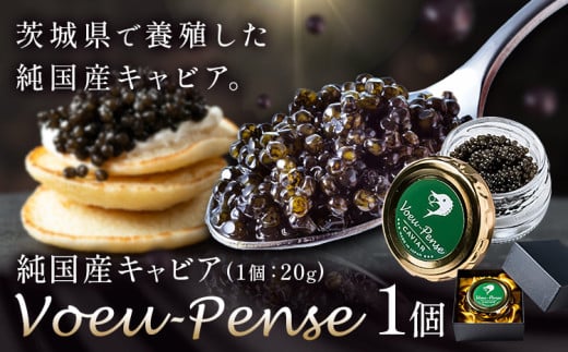 キャビア 純国産キャビア Voeu-Pense 1個 《12月中旬頃出荷》キャビアフィッシュカンパニー 高級 チョウザメ クラッカー バゲット パスタ 茨城県 河内町茨城県河内町22000魚介・海産物明太子・