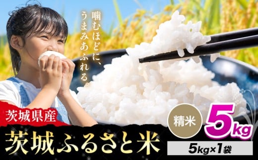 米 茨城 ふるさと米 精米 5kg《10月下旬-11月末頃出荷》茨城県 河内町 米 国産 お米 おこめ お弁当 おにぎり茨城県河内町12500米・パン白米